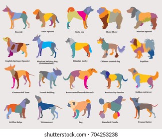 Vector set of colorful mosaic isolated different breeds dogs silhouettes on grey background. Part 3