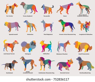 Vector set of colorful mosaic isolated different breeds dogs silhouettes on grey background. Part 4