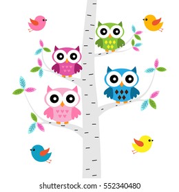 Conjunto vetorial de corujas coloridas na árvore de vidoeiro