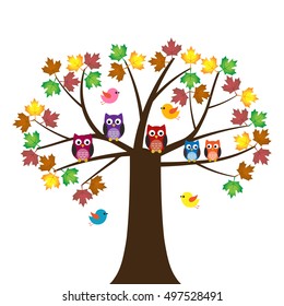 Vector set of colorful owls and birds sitting on the maple tree on a white background
