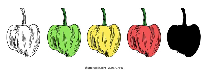 Vector set of colorful peppers. a whole pepper hand-drawn in sketch style, an isolated contour and a black silhouette on a white background for a design template. vegan red, green and yellow pepper
