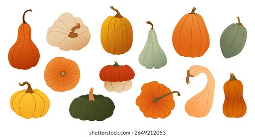 Vector set of colorful pumpkins and gourds, textured flat style Autumn harvest vegetables for seasonal card, fall print, packaging, thanksgiving poster and cozy rustic decor for farm or kitchen themes