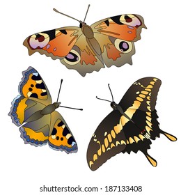 Vector set of colorful realistic isolated butterflies.