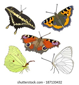Vector set of colorful realistic isolated butterflies.