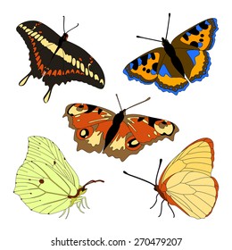 Vector set of colorful realistic isolated butterflies.