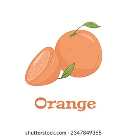Vector set of colorful slice and whole of juicy orange. Fresh cartoon orange on white background.