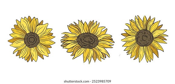 Vector set of colorful sunflowers. Hand drawn graphics, line drawing of yellow sunflower flowers. Summer and autumn design and decoration. Healthy product, seeds and oil.