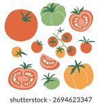 Vector set of colorful tomato isolated on white background. Stylish flat vegetable illustration. Tomatoes of different varieties. Food collection