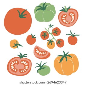 Vector set of colorful tomato isolated on white background. Stylish flat vegetable illustration. Tomatoes of different varieties. Food collection