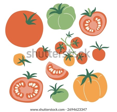 Vector set of colorful tomato isolated on white background. Stylish flat vegetable illustration. Tomatoes of different varieties. Food collection