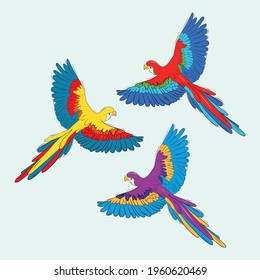 Vector set of colorful tropical birds. Exotic parrots. Stock illustration.