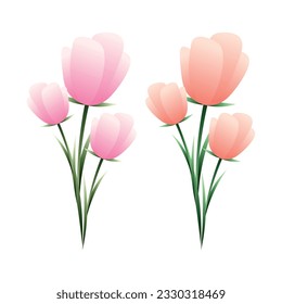 Vector set of colorful tulips collection
