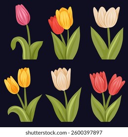 Vector set of colorful tulips on dark background. Spring collection of flat hand drawn blooming flowers for stickers and invitations.