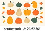 Vector set of colorful various pumpkins and autumn leaves in flat style isolated on white background.
