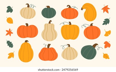 Vector set of colorful various pumpkins and autumn leaves in flat style isolated on white background.