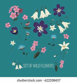 Vector set of Colorful wild spring flowers on a light blue background.