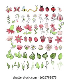 Vector set with colors. Floral collection of insects, leaves and abstract patterns in a children's cartoon style colorful hand-drawing.