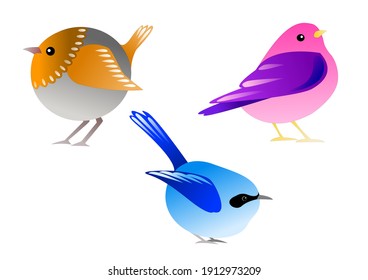 Vector set of colour birds. Design elements, graphic art.
