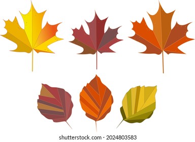 Vector set or composition of autumn leaves, foliage, branches.