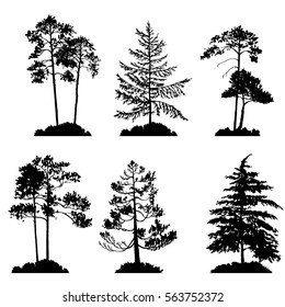 vector set of conifer trees silhouettes, hand drawn isolated natural elements