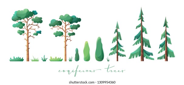 Vector set of coniferous trees. Pine, fir, cypress and grass isolated on white background. Flat illustration with modern noise texture, lights and shadows.