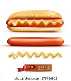 vector set consisting of elements: a bun, mustard, sausage