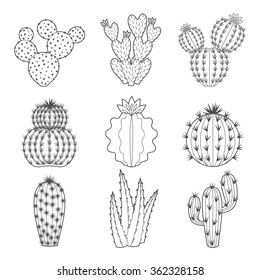 Vector set of contour cactus and succulent plants. Decorative isolated icons illustration. Cartoon style doodles.