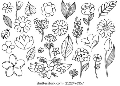 Conjunto vectorial de flores de contorno, plantas. Más de 25 artículos. Contorno, golpes, negro y blanco. Chamomile, plumeria, peonia, lirio del valle, loto