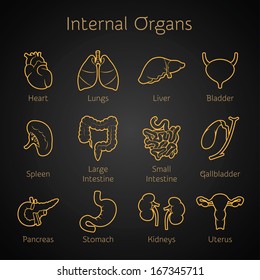 Vector set of contour icons of internal human organs for infographic