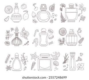 Vector set of contour sketch of luxury perfumes with vintage bottles with floral, berry, sweet, woody and marine scents. Ideal for the design of cosmetic products