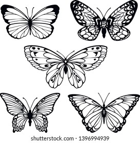 vector set of contour stylized beautiful butterflies