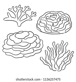 18,904 Coral line drawing Images, Stock Photos & Vectors | Shutterstock