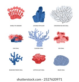 Conjunto de Vector de ilustraciones de coral. Incluye anémona de punta de burbuja, aplysina fistularis, abanico de mar gorgoniano, coral sol, cuerno de alce, coral zorro, coral ramificado, hoja de lechuga