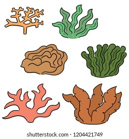 vector set of coral and seaweed