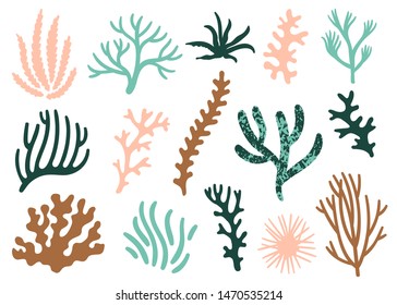 Vector set of corals. Bright sea elements are isolated on white. Beautiful underwater flora and fauna stickers. Hand drawn sea weed.