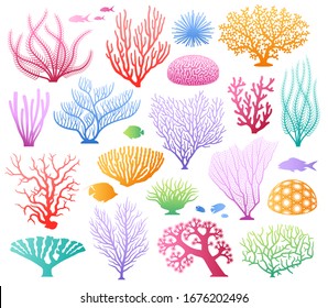 Vector set of corals. Bright sea elements are isolated on white. Beautiful underwater flora and fauna stickers. Hand drawn sea weed