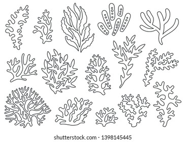 Vector set of corals. Outline sea elements are isolated on white. Beautiful underwater flora and fauna page for coloring book. Hand drawn sea weed.