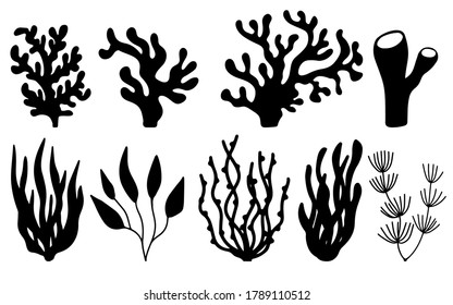 Vector set of corals and seaweeds silhouettes. Underwater coral reef and sea kelp in hand drawn doodle style. Marine aquarium plants illustration.