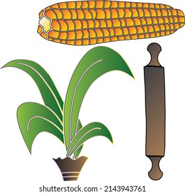 Vector set of corn utensil plant isolated free eps