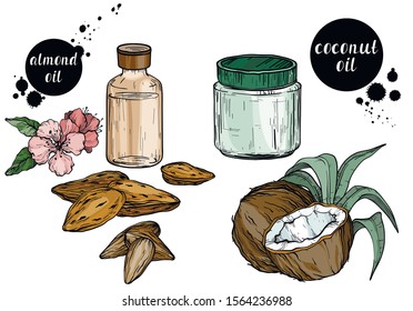Vector set of cosmetic care ingredients. Organic hand drawn oils. Almond oils, coconut butter. Use for cosmetic products