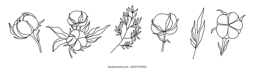 Vector set of cotton plant line art drawings, including branches, bolls, and leaves, hand-drawn botanical elements in elegant sketch style, isolated on white background