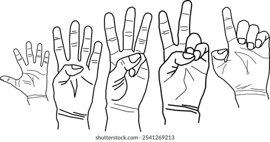 vector set of counting hands in Doodle style. Vector numbers in sign language one to five