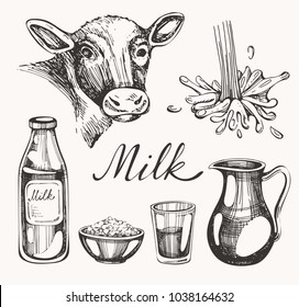 Vector set with cow and milk on the white background