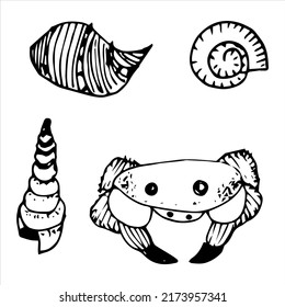 Vector set of crab and shell doodles