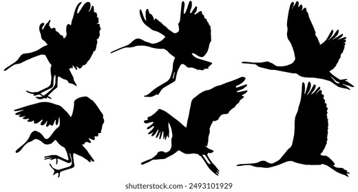 Vector conjunto de siluetas de aves de grúa