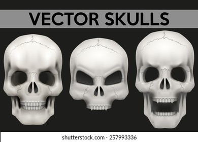 Vector set of Creative Human skulls. Illustration isolated on background. 
