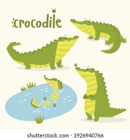 vector set of crocodiles. Cartoon crocodiles. Cartoon character. Tropics. African animal.
