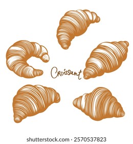 vector set of croissant sketch. Bakery logos and branding, cafe menus, food packaging design and coffee shops, product labels, prints for food. Digital illustrations.