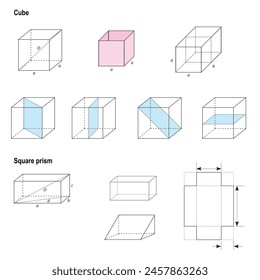 Vector set of Cube and Square prism. Geometric forms for math education. Basic 3d shapes.