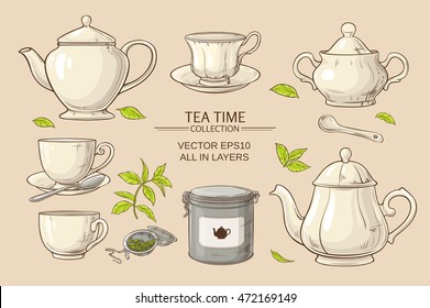 Vector set  with cups,  teapot,  sugar bowl, tin packaging and tea strainer on color background